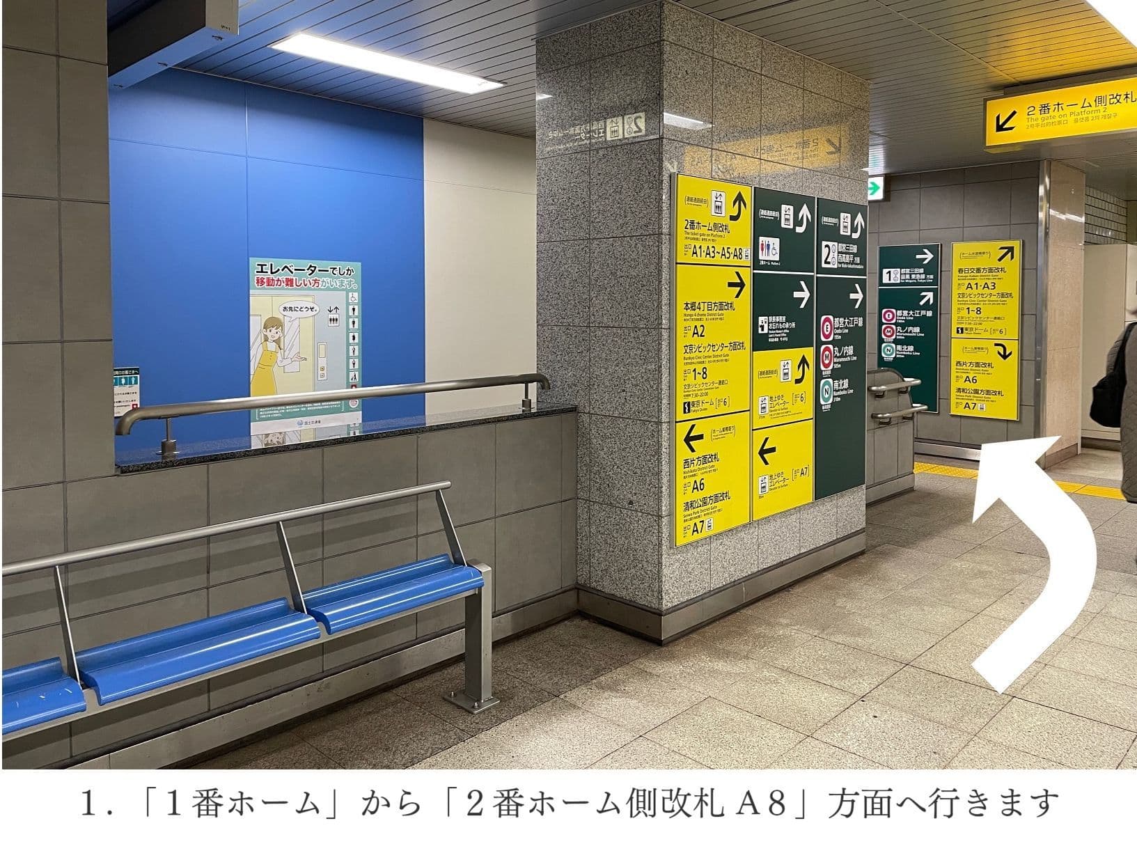 文京小石川クリニック　春日駅　後楽園駅　喘息　頭痛　CT